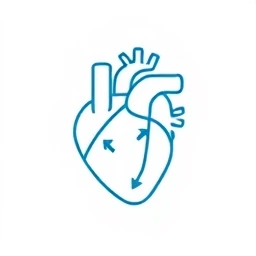 Absorción y Circulación